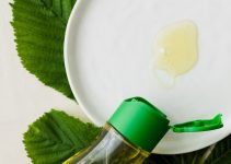 Quelles sont les vertus de l’huile essentielle d’Eucalyptus Globulus BIO ?